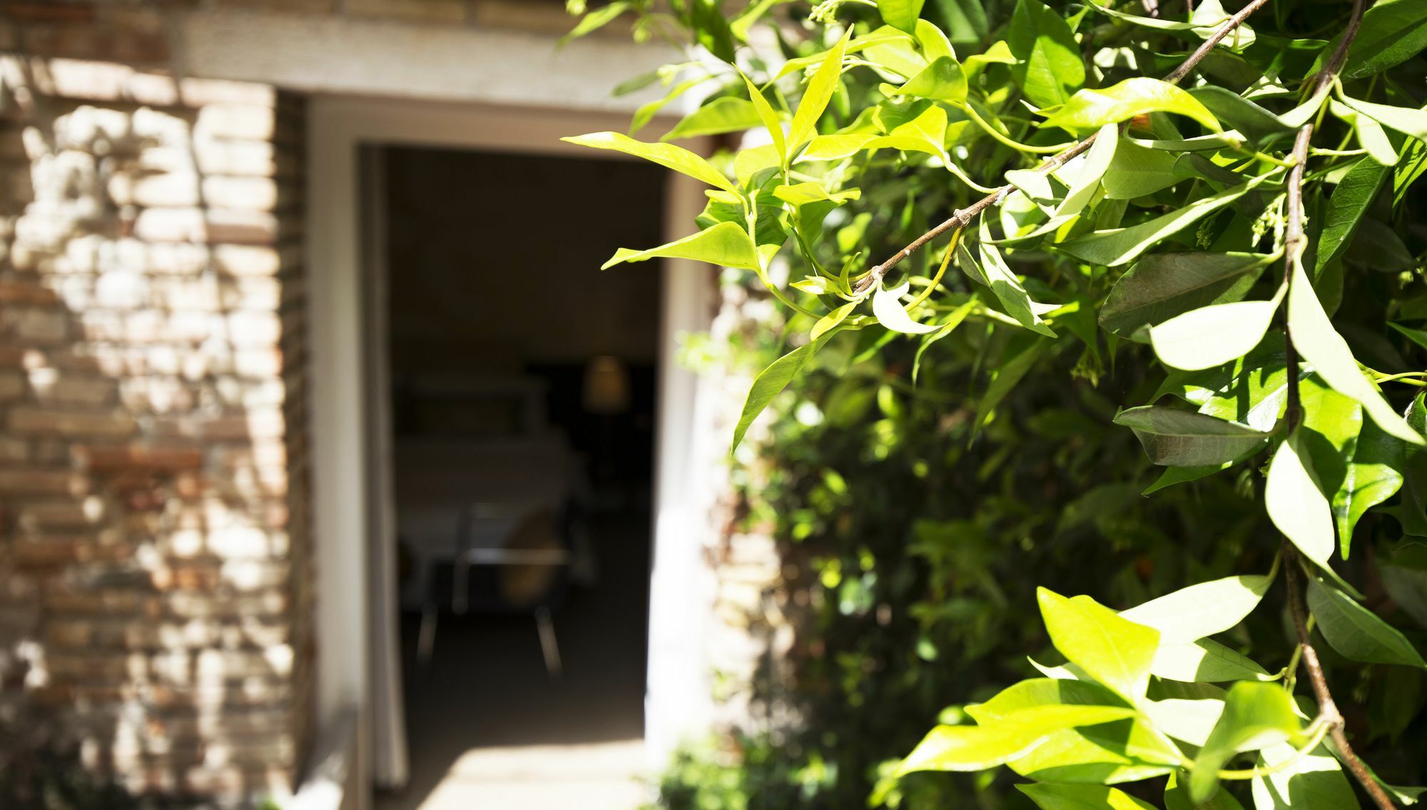 Avogaria 5 Rooms Βενετία Εξωτερικό φωτογραφία